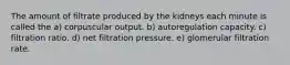 The amount of filtrate produced by the kidneys each minute is called the a) corpuscular output. b) autoregulation capacity. c) filtration ratio. d) net filtration pressure. e) glomerular filtration rate.