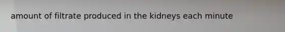 amount of filtrate produced in the kidneys each minute