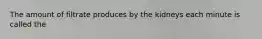 The amount of filtrate produces by the kidneys each minute is called the