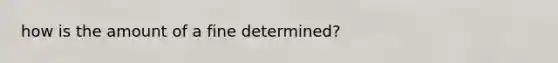 how is the amount of a fine determined?