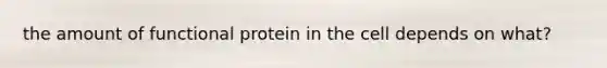 the amount of functional protein in the cell depends on what?