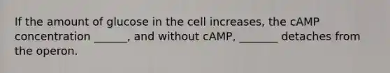 If the amount of glucose in the cell increases, the cAMP concentration ______, and without cAMP, _______ detaches from the operon.