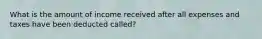 What is the amount of income received after all expenses and taxes have been deducted called?