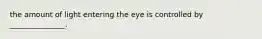 the amount of light entering the eye is controlled by _______________.