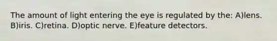 The amount of light entering the eye is regulated by the: A)lens. B)iris. C)retina. D)optic nerve. E)feature detectors.