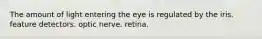 The amount of light entering the eye is regulated by the iris. feature detectors. optic nerve. retina.