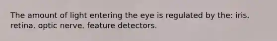 The amount of light entering the eye is regulated by the: iris. retina. optic nerve. feature detectors.