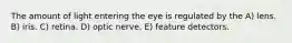 The amount of light entering the eye is regulated by the A) lens. B) iris. C) retina. D) optic nerve. E) feature detectors.