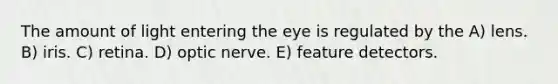 The amount of light entering the eye is regulated by the A) lens. B) iris. C) retina. D) optic nerve. E) feature detectors.