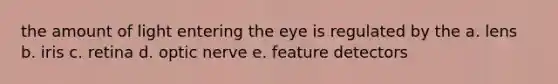 the amount of light entering the eye is regulated by the a. lens b. iris c. retina d. optic nerve e. feature detectors