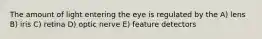 The amount of light entering the eye is regulated by the A) lens B) iris C) retina D) optic nerve E) feature detectors