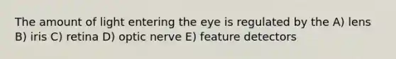 The amount of light entering the eye is regulated by the A) lens B) iris C) retina D) optic nerve E) feature detectors