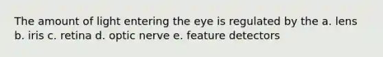 The amount of light entering the eye is regulated by the a. lens b. iris c. retina d. optic nerve e. feature detectors