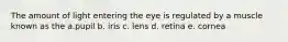 The amount of light entering the eye is regulated by a muscle known as the a.pupil b. iris c. lens d. retina e. cornea