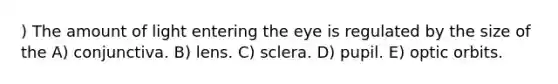 ) The amount of light entering the eye is regulated by the size of the A) conjunctiva. B) lens. C) sclera. D) pupil. E) optic orbits.