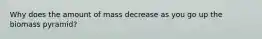 Why does the amount of mass decrease as you go up the biomass pyramid?