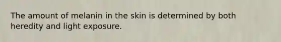 The amount of melanin in the skin is determined by both heredity and light exposure.