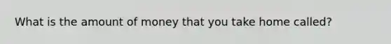 What is the amount of money that you take home called?