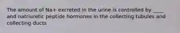 The amount of Na+ excreted in the urine is controlled by ____ and natriuretic peptide hormones in the collecting tubules and collecting ducts