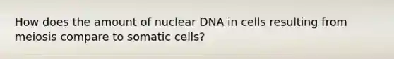 How does the amount of nuclear DNA in cells resulting from meiosis compare to somatic cells?