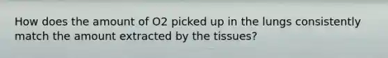 How does the amount of O2 picked up in the lungs consistently match the amount extracted by the tissues?