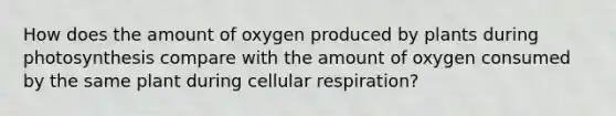 How does the amount of oxygen produced by plants during photosynthesis compare with the amount of oxygen consumed by the same plant during <a href='https://www.questionai.com/knowledge/k1IqNYBAJw-cellular-respiration' class='anchor-knowledge'>cellular respiration</a>?