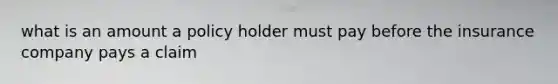 what is an amount a policy holder must pay before the insurance company pays a claim