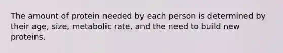 The amount of protein needed by each person is determined by their age, size, metabolic rate, and the need to build new proteins.