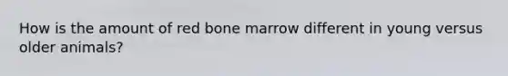 How is the amount of red bone marrow different in young versus older animals?