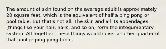 The amount of skin found on the average adult is approximately 20 square feet, which is the equivalent of half a ping pong or pool table. But that's not all. The skin and all its appendages (things like your hair, nails, and so on) form the integumentary system. All together, these things would cover another quarter of that pool or ping pong table.