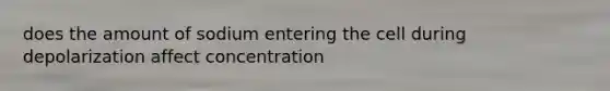 does the amount of sodium entering the cell during depolarization affect concentration