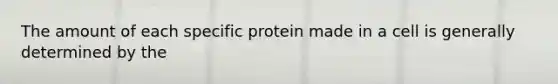 The amount of each specific protein made in a cell is generally determined by the