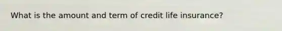 What is the amount and term of credit life insurance?