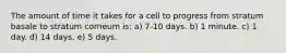 The amount of time it takes for a cell to progress from stratum basale to stratum corneum is: a) 7-10 days. b) 1 minute. c) 1 day. d) 14 days. e) 5 days.