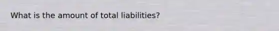 What is the amount of total liabilities?