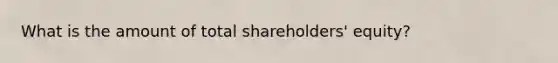 What is the amount of total shareholders' equity?