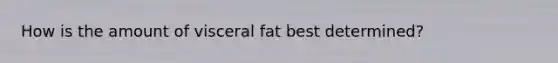 How is the amount of visceral fat best determined?