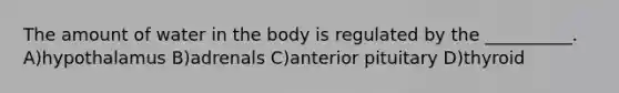 The amount of water in the body is regulated by the __________. A)hypothalamus B)adrenals C)anterior pituitary D)thyroid