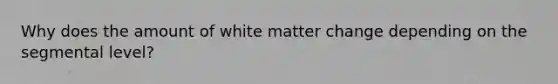 Why does the amount of white matter change depending on the segmental level?