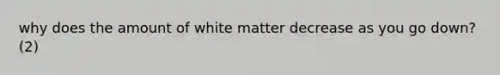 why does the amount of white matter decrease as you go down? (2)