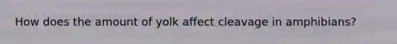 How does the amount of yolk affect cleavage in amphibians?