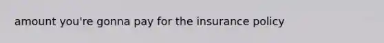 amount you're gonna pay for the insurance policy