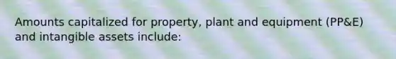 Amounts capitalized for property, plant and equipment (PP&E) and intangible assets include: