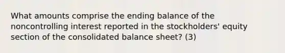 What amounts comprise the ending balance of the noncontrolling interest reported in the stockholders' equity section of the consolidated balance sheet? (3)