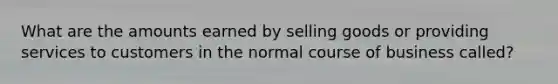 What are the amounts earned by selling goods or providing services to customers in the normal course of business called?