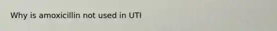 Why is amoxicillin not used in UTI