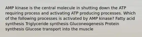 AMP kinase is the central molecule in shutting down the ATP requiring process and activating ATP producing processes. Which of the following processes is activated by AMP kinase? Fatty acid synthesis Triglyceride synthesis Gluconeogenesis Protein synthesis Glucose transport into the muscle