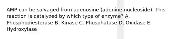 AMP can be salvaged from adenosine (adenine nucleoside). This reaction is catalyzed by which type of enzyme? A. Phosphodiesterase B. Kinase C. Phosphatase D. Oxidase E. Hydroxylase