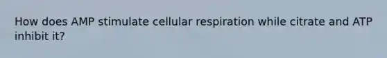 How does AMP stimulate cellular respiration while citrate and ATP inhibit it?