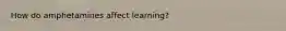 How do amphetamines affect learning?
